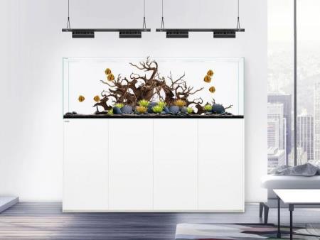 Bể cá cảnh 120x50