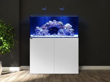 Bể cá cảnh 60 40 40