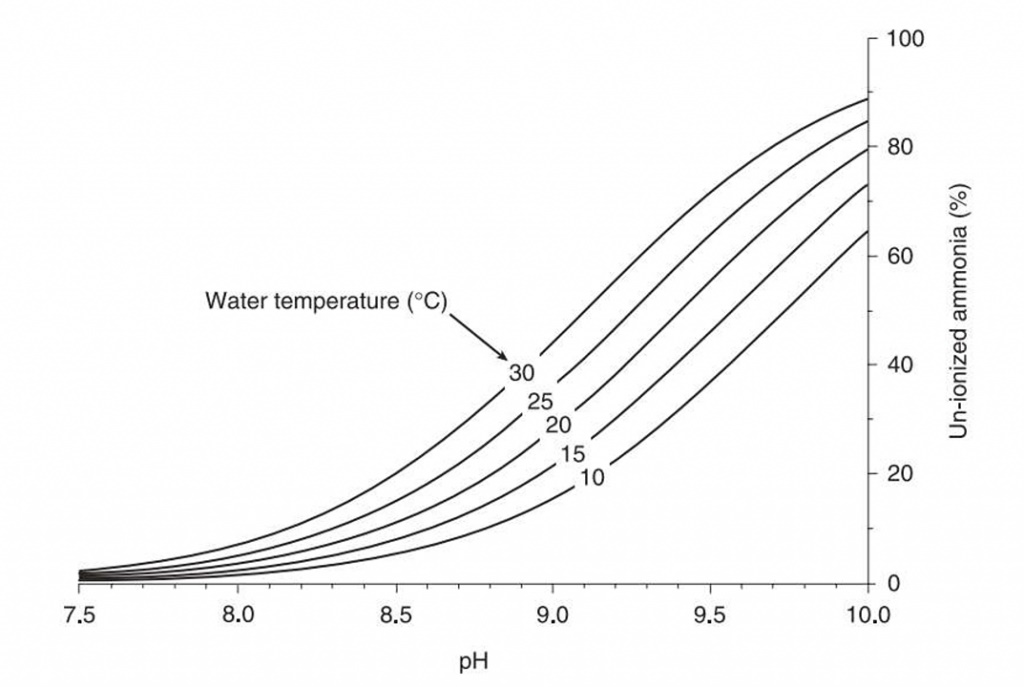 Giai đoạn 1 – Amoniac