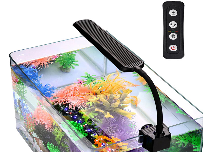  Ánh sáng trong bể cá&nbsp;phục vụ hai mục đích cơ bản