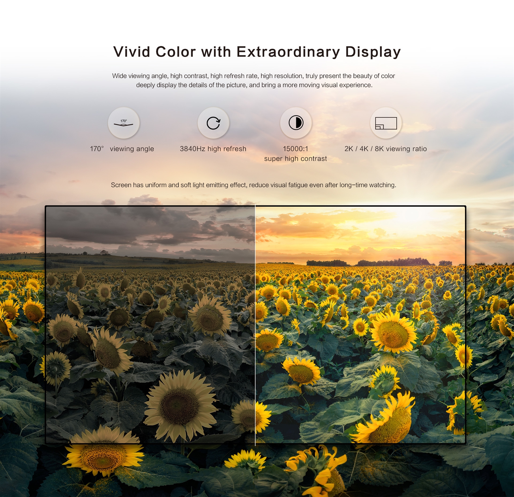 COB Indoor Fine Pixel Pitch LED Display