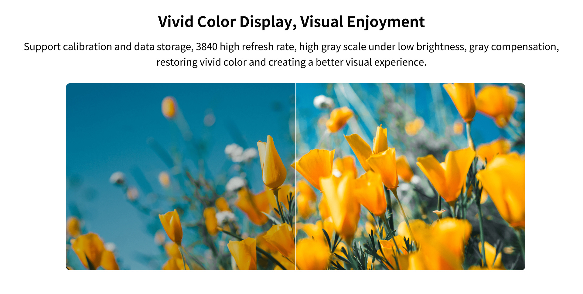 Integrated Design, Leading the Future