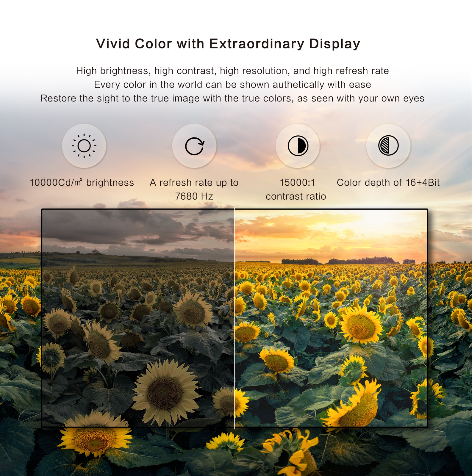 Light and Handy with Vivid Display
